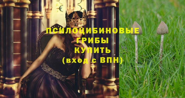 стафф Алзамай