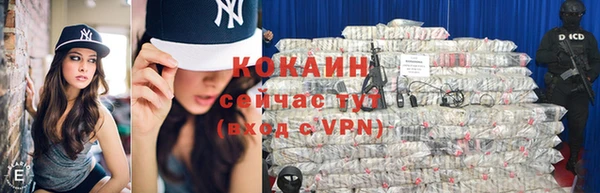 apvp Алексин